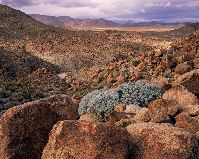 boulders-web-700