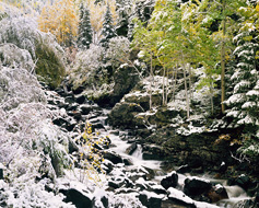 first_snow-web-237