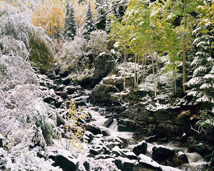 first_snow-web-700