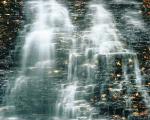 Cascade and Fallen Leaves