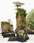 Seastacks and Fog