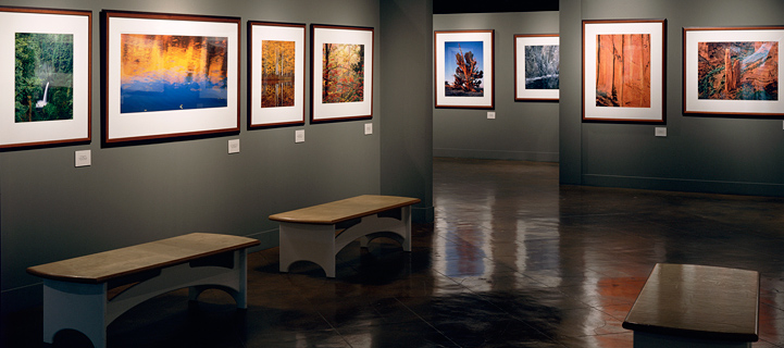 Gallery Exhibits